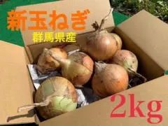 高原野菜・農薬/栽培期間中不使用『新玉ねぎ』のサムネイル