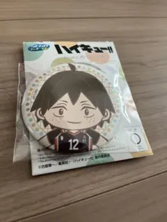 ハイキュー　セガラッキーくじ　缶バッチマスコットセット　山口