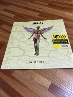 NIRVANA IN UTERO ピクチャー盤 LP メキシコ盤オリジナル NIRVANA IN UTERO ピクチャー盤 LP メキシコ盤オリジナル - メルカリ
