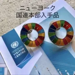 【国連本部純正品】2点　SDGs  ピンバッジ　【新品未使用】