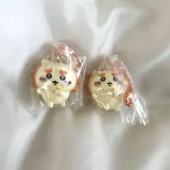 ビスケット シーサーセット