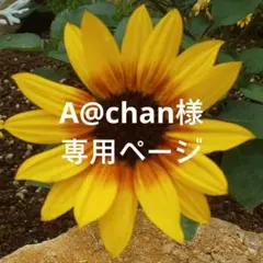 A@chan様 リクエスト 3点 まとめ商品