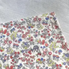 リバティ タナローン C&S ナンシーアニマル　J14D