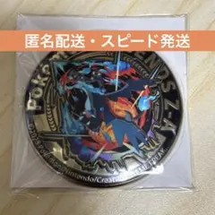ポケモンレジェンズZA イオン購入特典 メガリザードンY 金バッジ