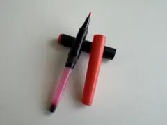 プラチナ万年筆旧型採点ペン ＃３