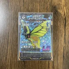 2025年最新】トリバネアゲハの人気アイテム - メルカリ