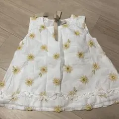 プティマイン　110