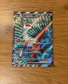 楽園ドラゴーナ