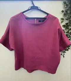 SHIPS◎バックZIP半袖カットソーショッキングピンクシップスのサムネイル