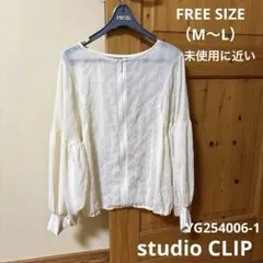 【未使用に近い】スタディオクリップ　ダブルフロントシアーチェックブルゾンブラウス