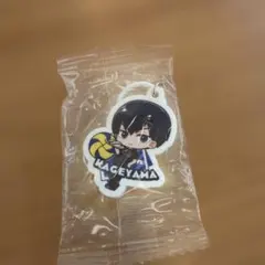 ハイキュー!! 影山飛雄 めじるしアクセサリー