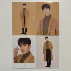 SEVENTEEN winter ドギョム トレカ