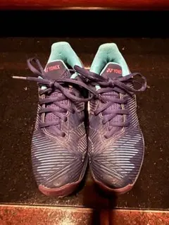 Item thumbnail for item 8259568e-a474-4b98-bf12-594fab50fddf