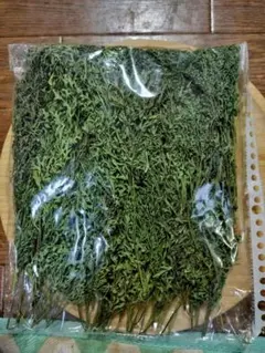 Item thumbnail for item 0ee1bc42-faf9-446f-ba2a-d29626ee3359