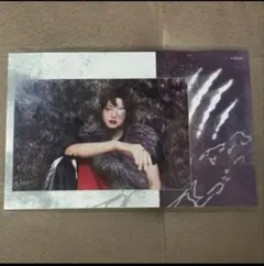 &TEAM　ウィジュ　フォトシート　back to life