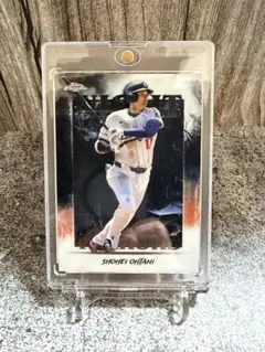 【マグホ付き！】大谷翔平 Topps Chrome Night Terrors