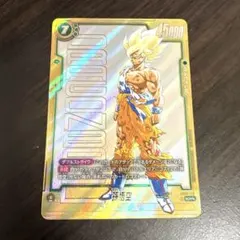 FB05-119孫悟空SCR⭐︎⭐︎