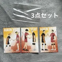 【3点セット】ハイキュー!! ゴミ捨て場の決戦 アニメイト 特典ポストカード