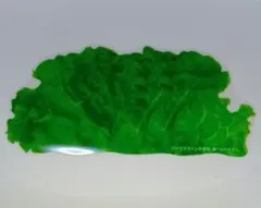 Item thumbnail for item cafce3ee-b628-415c-83c3-0a9c6ae90c72