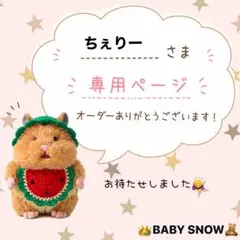 ちぇりーさま専用☆