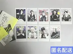 【匿名配送】&TEAM Back to Life グローバルインスタントフォト③