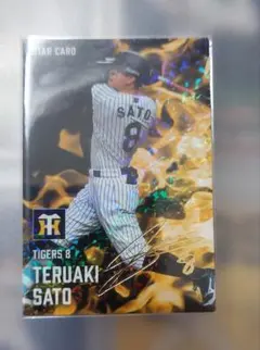 n₋yoshi様 リクエスト 2点 まとめ商品