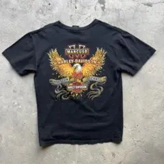 00s Harley Davidson ハーレー tシャツ イーグル