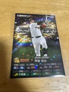 カルビープロ野球チップス 読売ジャイアンツ 甲斐拓也 キラカード