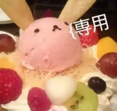 専用