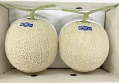 高知産 贈答用 温室マスクメロン 2玉 約4，7Kg 秀品 北海道沖縄発送