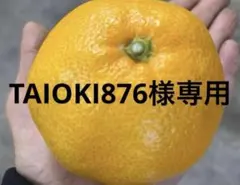 有田みかん　純宝丸　訳あり不知火 9㎏入り