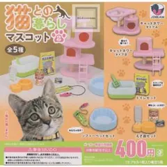 71213 猫との暮らしマスコット２　全5種セット