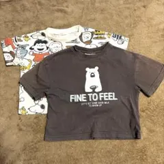 スヌーピー＆くまさんTシャツ２枚セット半袖8090