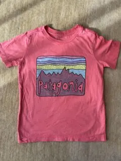 Patagonia Tシャツ 3T
