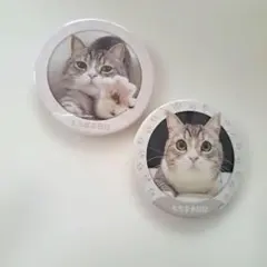 もちまる日記 缶バッジ 2個 極楽湯 トレーディングガチャ缶バッジ 猫のサムネイル