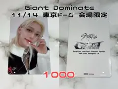 Straykids Dominate 11/14 東京 フィリックス トレカ