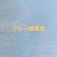 ブルー様専用ページ