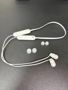 wi-c100 ソニー　ワイヤレスイヤホン