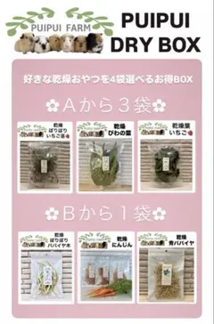 乾燥 PUIPUI DRY BOX 天日干しプイプイファーム