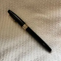 PILOT パイロット 万年筆 エラボー 旧型 嵌合式キャップ SB - メルカリ