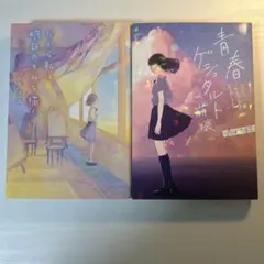 「青春ゲシュタルト崩壊」「だから私は、明日のきみを描く」 2冊セット