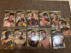 Item thumbnail for item 53e1831b-2e75-40e7-946e-80746a873d01