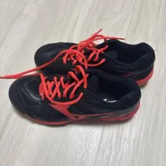 MIZUNO バドミントンシューズ25cm