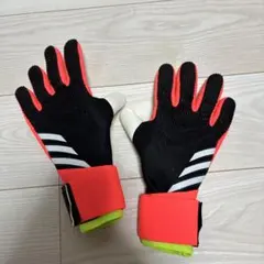 Item thumbnail for item e9264b65-ddba-4345-ab12-7b2a370ada1e