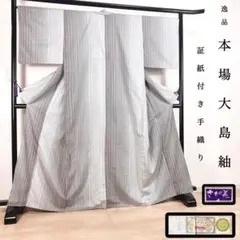 FF-222 大島紬 本場大島紬 証紙 久野 手織 美品 逸品 正絹 さが美