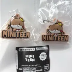 SEVENTEEN 　ぷっくりめじるしアクセサリー　ディノ　チャンダリ 2個