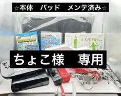 ちょこ様　専用　本体白変更　スーパールイージ