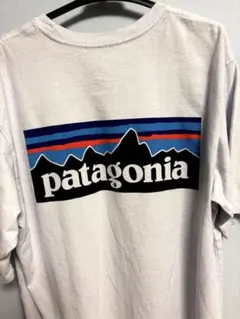 patagonia バックプリントTシャツ ホワイト　サイズM