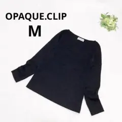 オペークドットクリップ 長袖リブニット ウール混 シンプル 秋冬 ブラック M