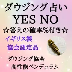 ゆにくろ様ご専用　ダウジング確率付き　2問